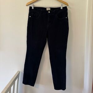 Pilcro Skinny Stretch Corduroy Jeans in Deep Navy Blue - Size 31